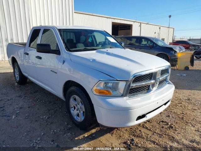 DODGE RAM 1500 2010 1d7rb1gp5as171056