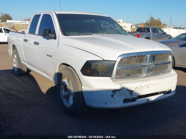 DODGE RAM 1500 2010 1d7rb1gp5as203570