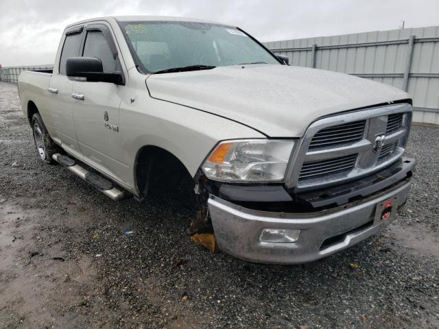 DODGE RAM 1500 2010 1d7rb1gp5as238089