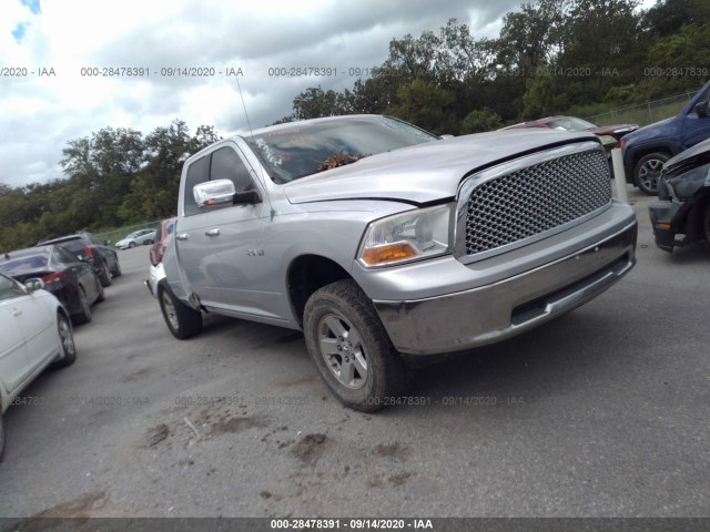 DODGE RAM 1500 2010 1d7rb1gp6as101338