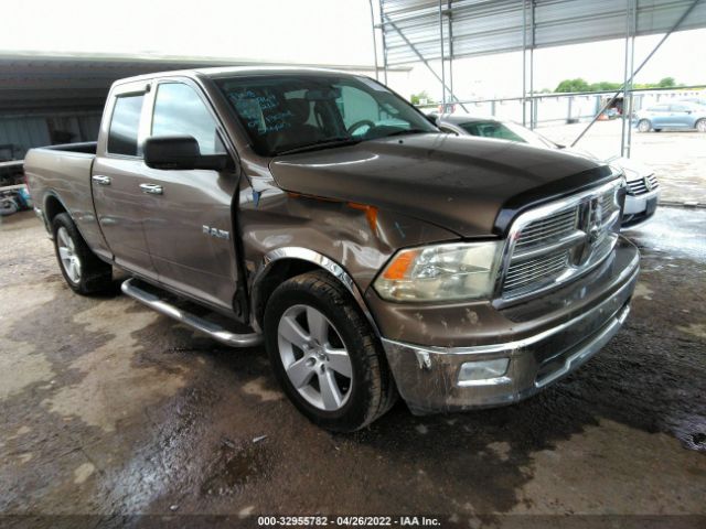 DODGE RAM 1500 2010 1d7rb1gp6as115840