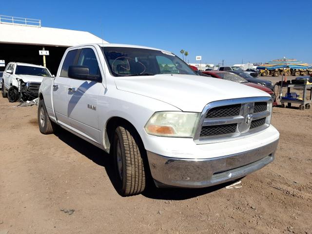 DODGE RAM 1500 2010 1d7rb1gp6as138048