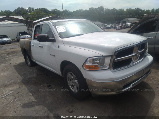 DODGE RAM 1500 2010 1d7rb1gp6as177402