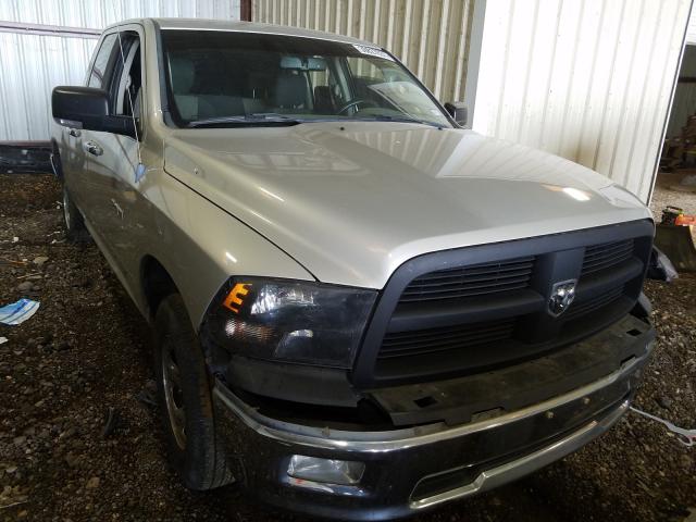 DODGE RAM 1500 2010 1d7rb1gp6as209149