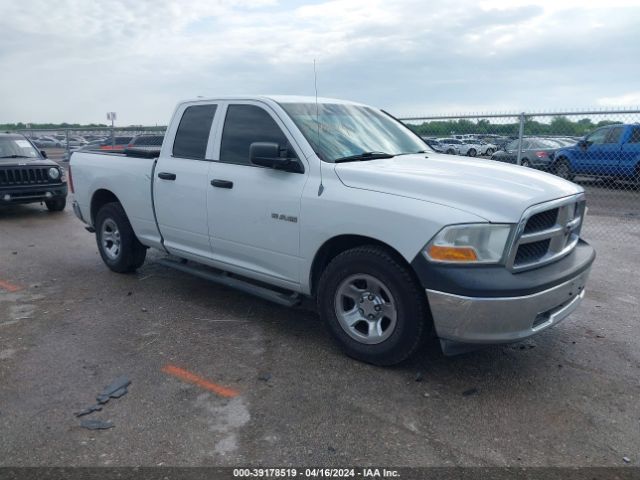 DODGE RAM 1500 2010 1d7rb1gp6as218031