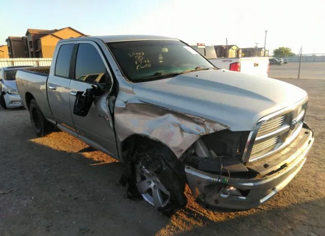 DODGE RAM 1500 2010 1d7rb1gp6as218207