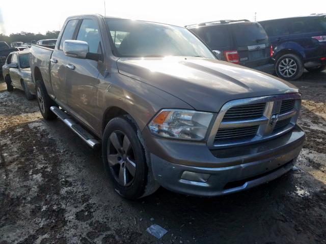 DODGE RAM 1500 2010 1d7rb1gp6as218210