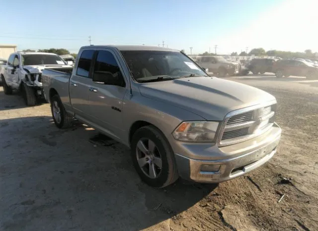 DODGE RAM 1500 2010 1d7rb1gp6as250218