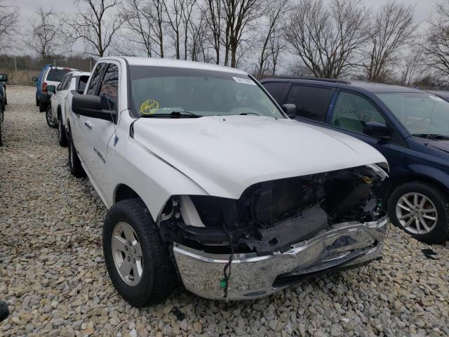 DODGE RAM 1500 2011 1d7rb1gp6bs679733