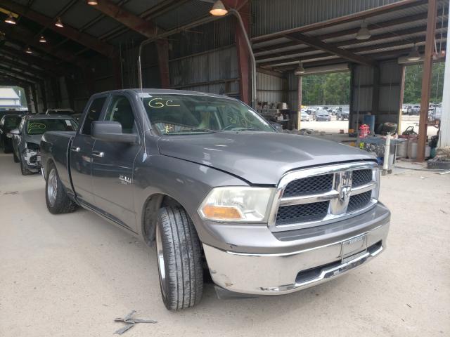 DODGE RAM 1500 2010 1d7rb1gp7as101588