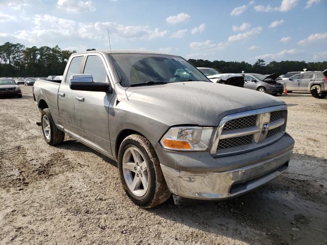 DODGE RAM 1500 2010 1d7rb1gp7as110890