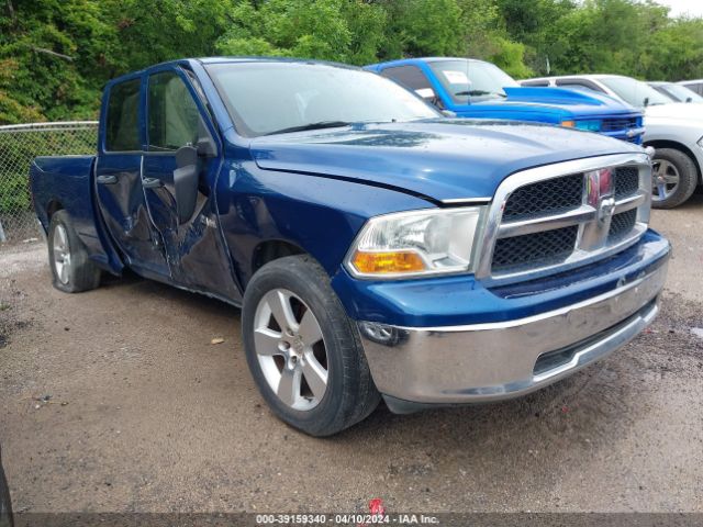 DODGE RAM 1500 2010 1d7rb1gp7as141816