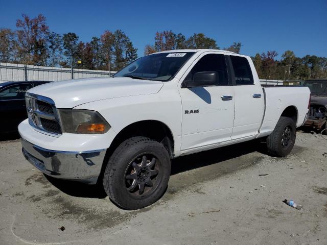 DODGE RAM 1500 2010 1d7rb1gp7as154484