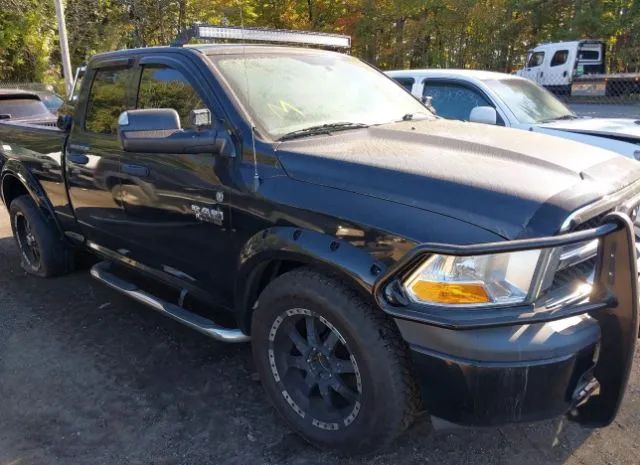 DODGE RAM 1500 2010 1d7rb1gp7as160351