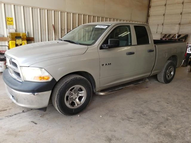 DODGE RAM 1500 2010 1d7rb1gp7as195536