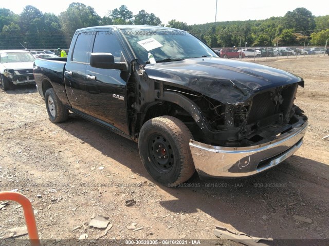 DODGE RAM 1500 2010 1d7rb1gp8as109313