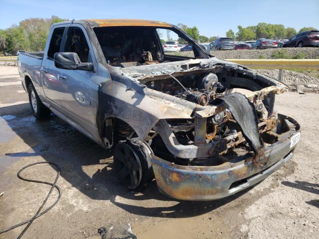 DODGE RAM 1500 2010 1d7rb1gp8as177384