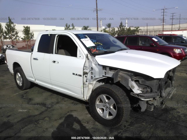 DODGE RAM 1500 2010 1d7rb1gp8as203787