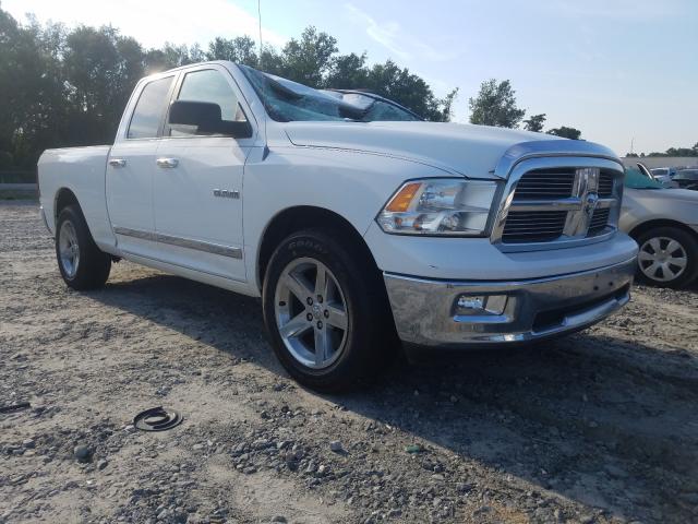 DODGE RAM 1500 2010 1d7rb1gp8as206415