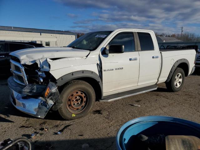 DODGE ALL MODELS 2011 1d7rb1gp8bs615662