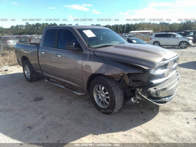 DODGE RAM 1500 2010 1d7rb1gp9as118165