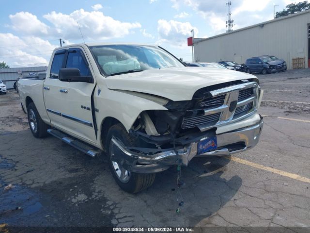 DODGE RAM 1500 2010 1d7rb1gp9as247264