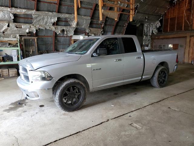 DODGE RAM 1500 2010 1d7rb1gpxas111158