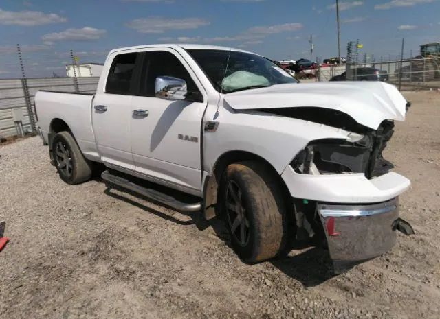 DODGE RAM 1500 2010 1d7rb1gpxas138036