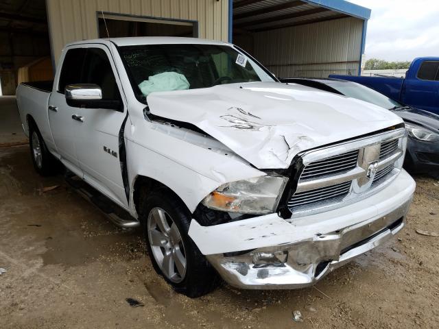 DODGE RAM 1500 2010 1d7rb1gpxas138344