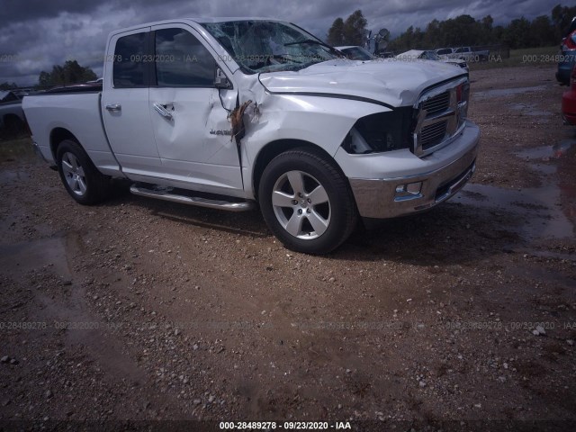 DODGE RAM 1500 2010 1d7rb1gpxas230957