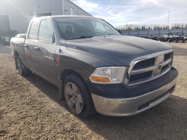 DODGE RAM 1500 2011 1d7rb1gpxbs580512