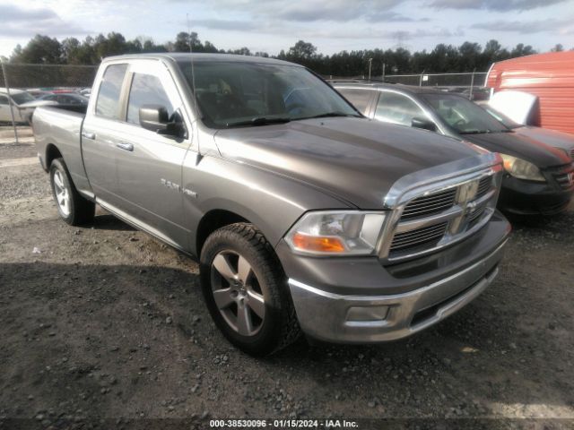 DODGE RAM 1500 2010 1d7rb1gt0as106127