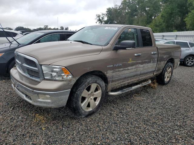 DODGE RAM 1500 2010 1d7rb1gt0as117323