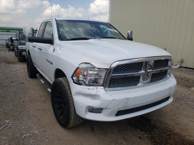 DODGE RAM 1500 2010 1d7rb1gt1as176297