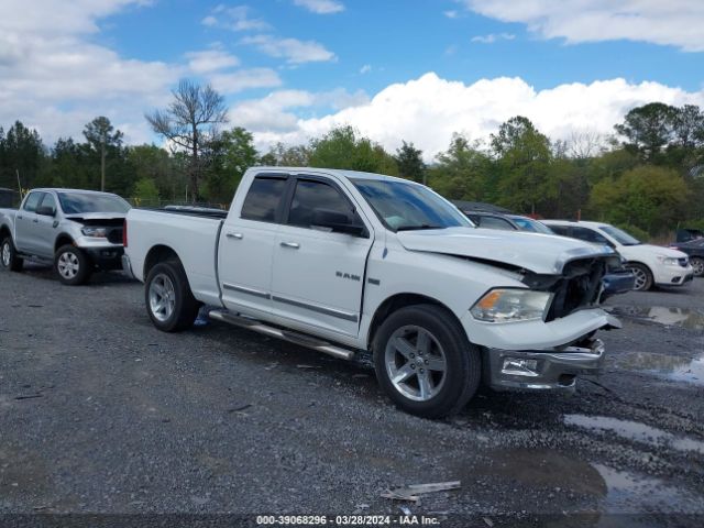 DODGE RAM 1500 2010 1d7rb1gt1as178826