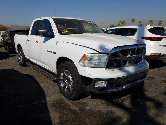 DODGE RAM 1500 2010 1d7rb1gt1as204356