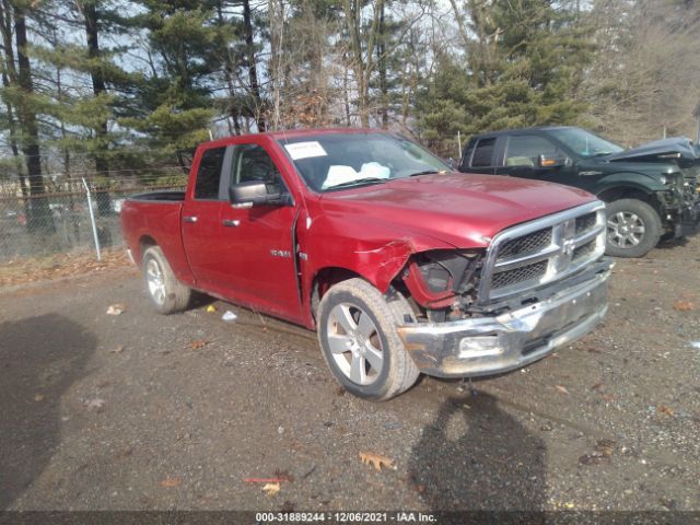 DODGE RAM 1500 2010 1d7rb1gt1as209654