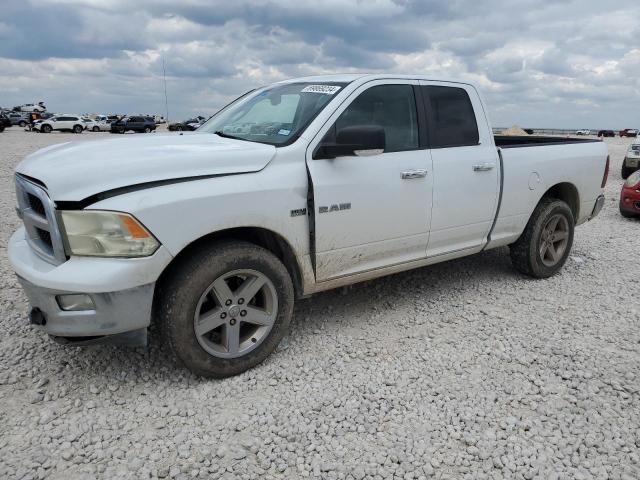 DODGE RAM 1500 2010 1d7rb1gt1as223828