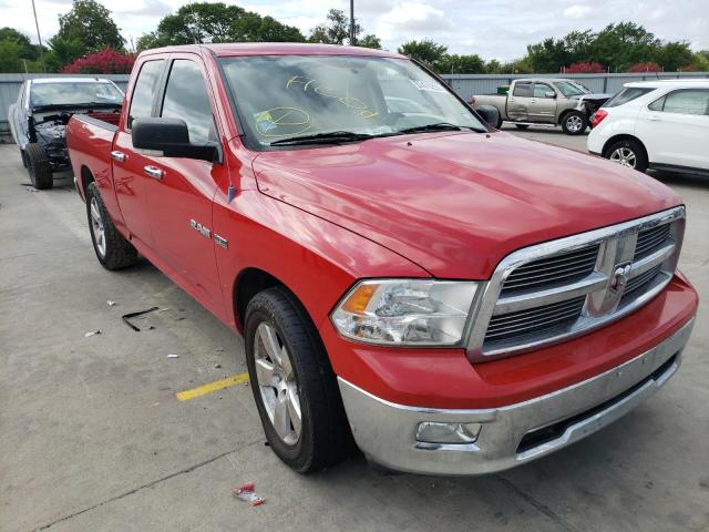 DODGE RAM 1500 2010 1d7rb1gt1as245991