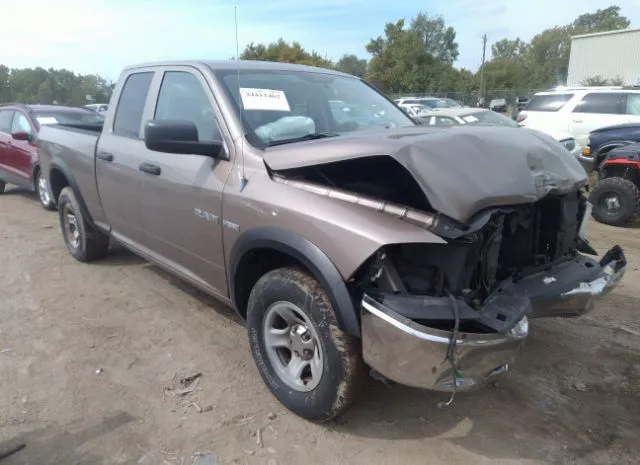 DODGE RAM 1500 2010 1d7rb1gt2as102189