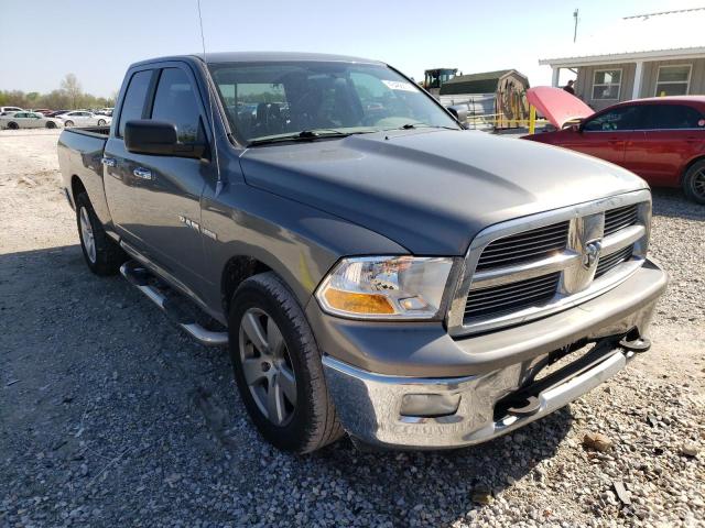 DODGE RAM 1500 2010 1d7rb1gt2as115475