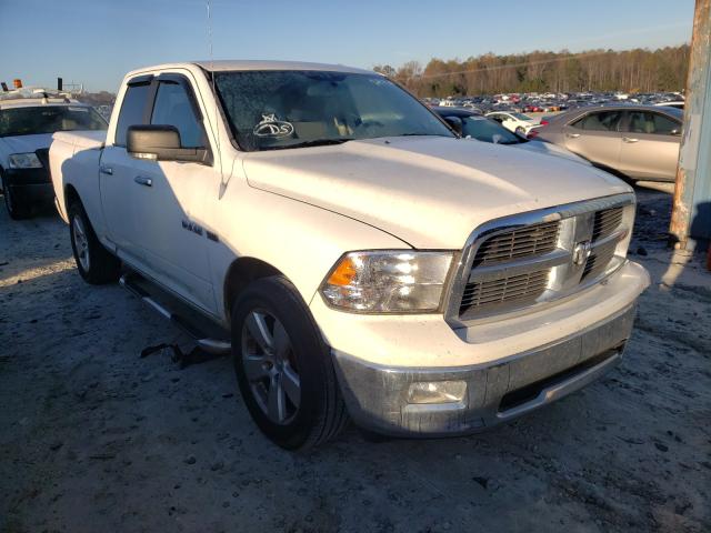 DODGE RAM 1500 2010 1d7rb1gt2as121860