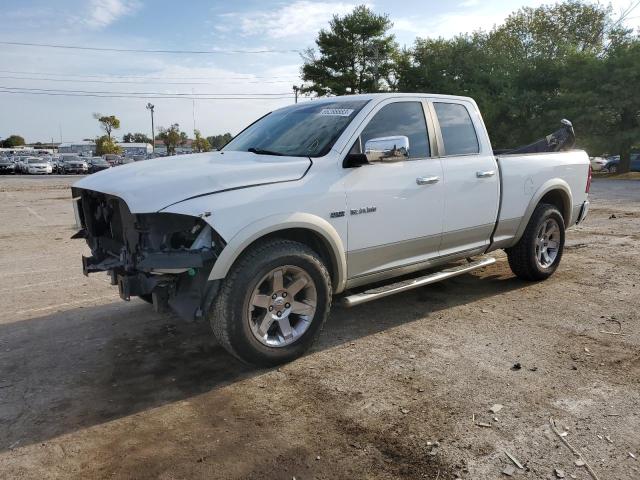 DODGE RAM 1500 2010 1d7rb1gt2as139159