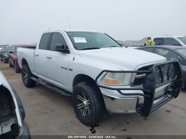 DODGE RAM 1500 2010 1d7rb1gt2as146175