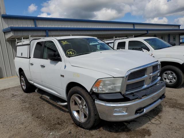 DODGE RAM 1500 2011 1d7rb1gt2bs543743