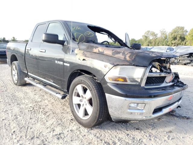 DODGE RAM 1500 2010 1d7rb1gt3as115873