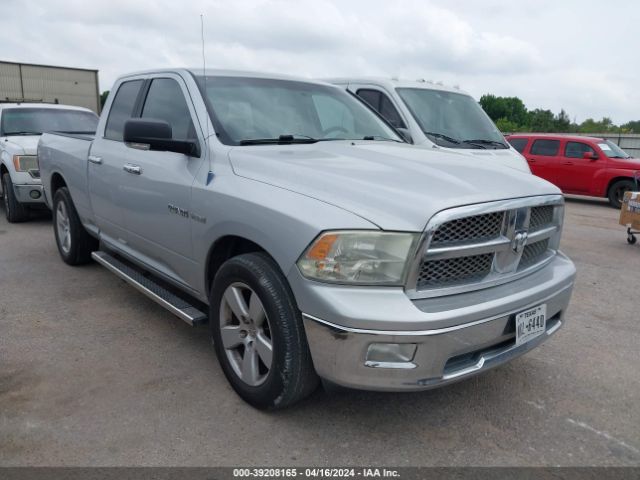 DODGE RAM 1500 2010 1d7rb1gt3as118272