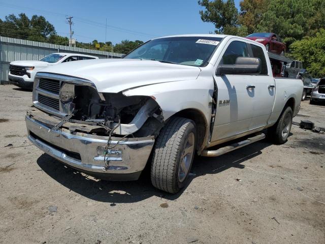 DODGE ALL MODELS 2010 1d7rb1gt3as138392