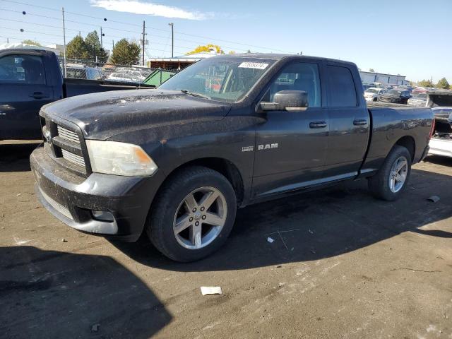 DODGE RAM 1500 2010 1d7rb1gt3as204276