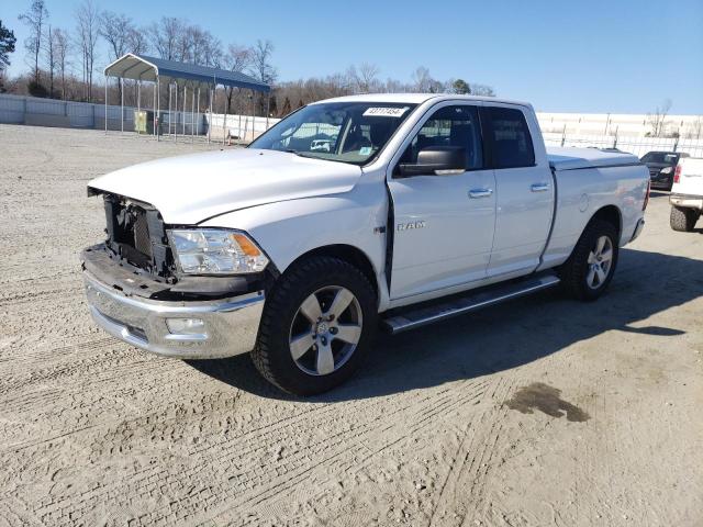 DODGE RAM 1500 2010 1d7rb1gt3as248939